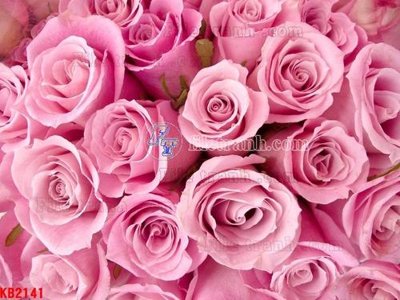 File gốc File in kính bếp KB2141 (cho in 3D) độc đáo