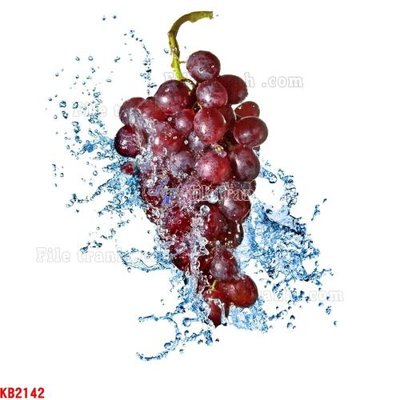 File tranh File in kính bếp KB2142 (gốc) in backlit film