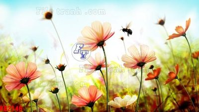 File gốc File in kính bếp KB2146 (trang trí) phòng làm việc