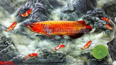 File gốc File in kính bếp KB2165 (in tráng gương) ốp tường