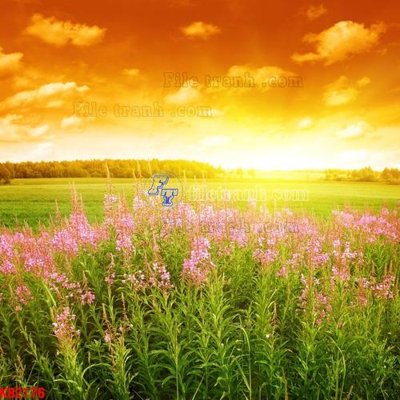 File tranh File in kính bếp KB2176 (gốc) in vải canvas