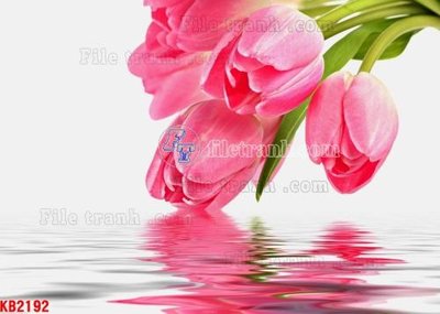 File gốc File in kính bếp KB2192 (PNG) trong suốt (transparent)