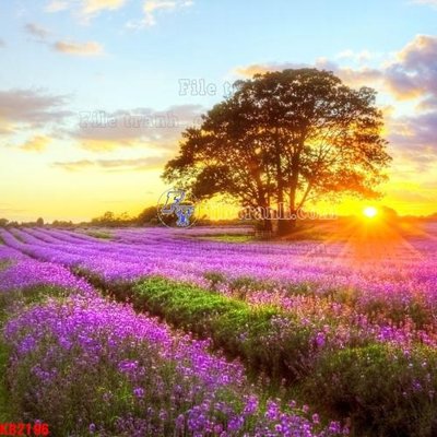 File PSD in ấn File in kính bếp KB2196 (chất lượng cao)