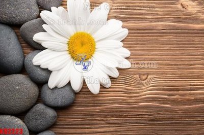 File tranh File in kính bếp KB2223 (gốc) chủ đề con người