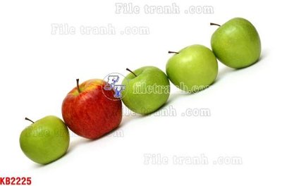 Chi tiết file gốc File in kính bếp KB2225 (cho in tráng gương)