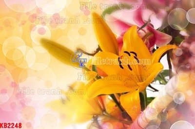 Tải file gốc File in kính bếp KB2248 (in không vỡ ảnh)