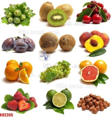 Tải file File in kính bếp KB2305 (gốc) làm file tranh quảng cáo