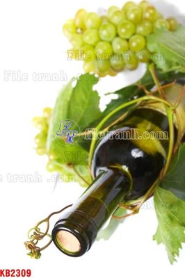 File gốc in mica File in kính bếp KB2309 chất lượng