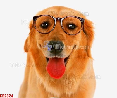 File gốc File in kính bếp KB2324 (in 3D) cho trang trí