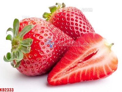 File tranh File in kính bếp KB2333 (gốc) in backlit film