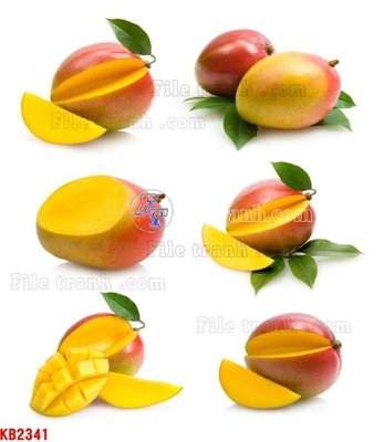 File gốc File in kính bếp KB2341 (in lụa) họa tiết 3D