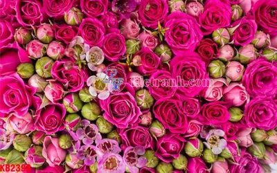 File gốc File in kính bếp KB2398 (phong cách) cổ điển