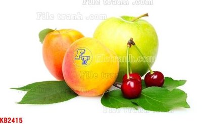 File in lụa File in kính bếp KB2415 (chất lượng cao) File in kính bếp KB2415