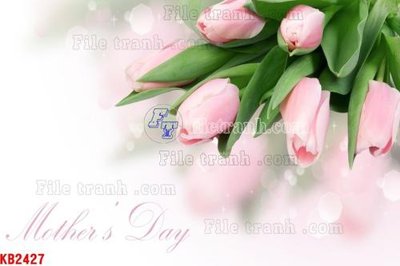 Download file gốc File in kính bếp KB2427 (in lụa) cao cấp