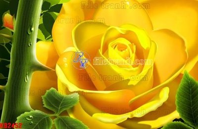 File gốc File in kính bếp KB2452 (phong cách) tối giản