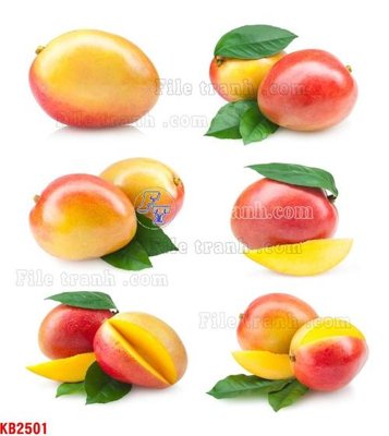 File tranh PSD File in kính bếp KB2501 chất lượng cao