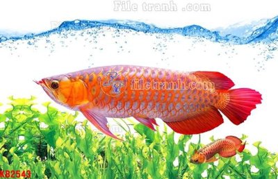 Tải file gốc File in kính bếp KB2543 (in bạt) quảng cáo