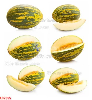 File gốc File in kính bếp KB2555 (PNG) trong suốt (transparent)