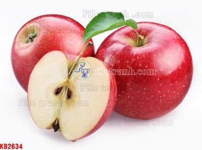 File gốc File in kính bếp KB2634 (cho in ấn) từ Filetranh.com