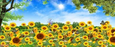 File PSD File in kính bếp KB3137 (gốc) tách lớp chi tiết