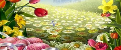 File in mica File in kính bếp KB3172 (ảnh gốc) đẹp