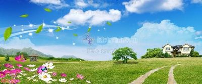 File PSD File in kính bếp KB3244 (gốc) cho designer