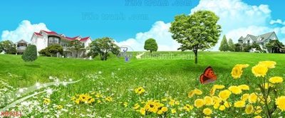 Tải file gốc File in kính bếp KB3251 (in khổ lớn) không vỡ