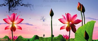 Ảnh gốc File in kính bếp KB3275 (độ nét cao) in mica