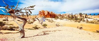 Tải file File in kính bếp KB3277 (ảnh gốc) in tranh kính