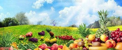 Tải file File in kính bếp KB3303 (ảnh gốc) in tráng gương