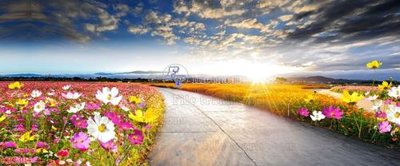 File ảnh File in kính bếp KB3304 (gốc) dùng in Pano