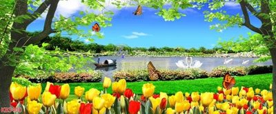 File gốc File in kính bếp KB3400 (chủ đề hiện đại) trang trí