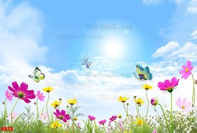 Tải về file gốc File in kính bếp KB38 (dùng cho in quảng cáo)