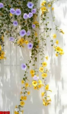 Ảnh gốc file in lụa File tranh in décor tranh treo tường tổng hợp KD10112 chi tiết