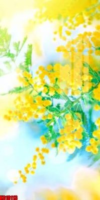 File ảnh File tranh in décor tranh treo tường tổng hợp KD10113 (gốc) in Hiflex