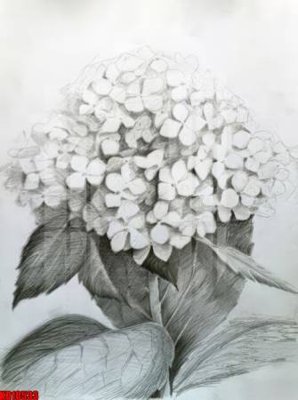 Tải file File tranh in décor tranh treo tường tổng hợp KD10533 (gốc) làm tranh treo tường