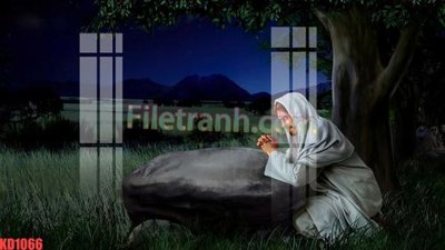 File in trần File gốc in tranh nền tường tổng hợp KD1066 (bản gốc) bầu trời