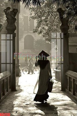 File in trần File gốc in tranh nền tường tổng hợp KD1110 (bản gốc) phong cảnh