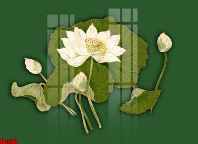 File tranh in trần File tranh in décor tranh treo tường tổng hợp KD11146 (ảnh gốc siêu nét)