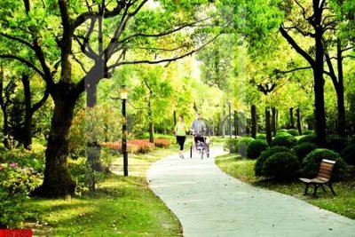 File ảnh File tranh in décor tranh treo tường tổng hợp KD11220 (gốc) in backdrop sự kiện