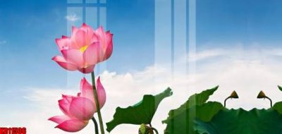 File tranh gốc File tranh in décor tranh treo tường tổng hợp KD11506 (sắc nét từng chi tiết)