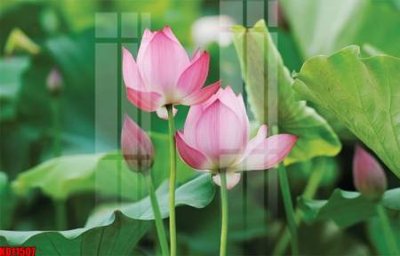 Tải file File tranh in décor tranh treo tường tổng hợp KD11507 (PSD) cho in tranh 3D