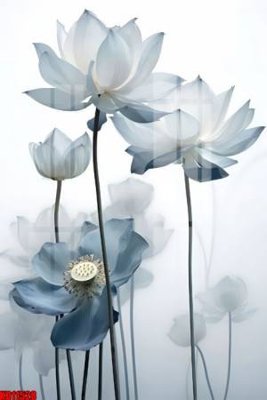 Download file File tranh in décor tranh treo tường tổng hợp KD11528 (chuẩn in) chất lượng cao