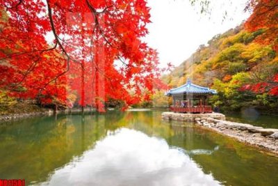 File tranh File tranh in décor tranh treo tường tổng hợp KD11581 (gốc) phong cách tối giản