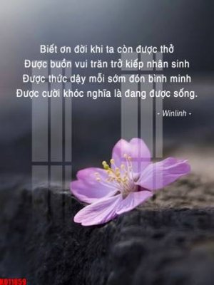 File gốc File tranh in décor tranh treo tường tổng hợp KD11859 (PNG) chất lượng cao