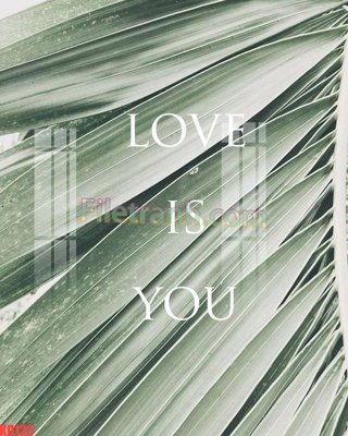 File in mica File gốc in tranh nền tường tổng hợp KD123 (bản gốc) làm vách ngăn