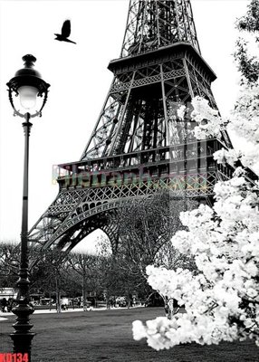 Download file File gốc in tranh nền tường tổng hợp KD134 (chất lượng in ấn)