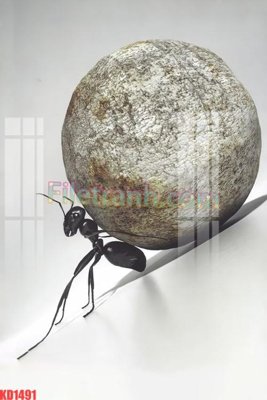 File tranh File gốc in tranh nền tường tổng hợp KD1491 (gốc) in backlit film