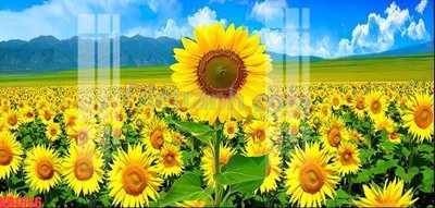 File in lụa File gốc in tranh nền tường tổng hợp KD1666 (hoa văn) File gốc in tranh nền tường tổng hợp KD1666