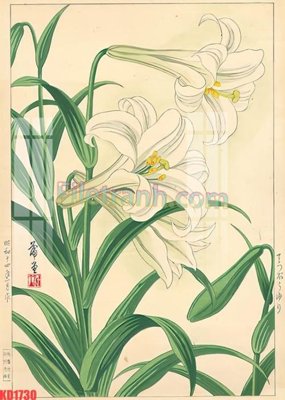 File ảnh File gốc in tranh nền tường tổng hợp KD1730 (gốc) in poster